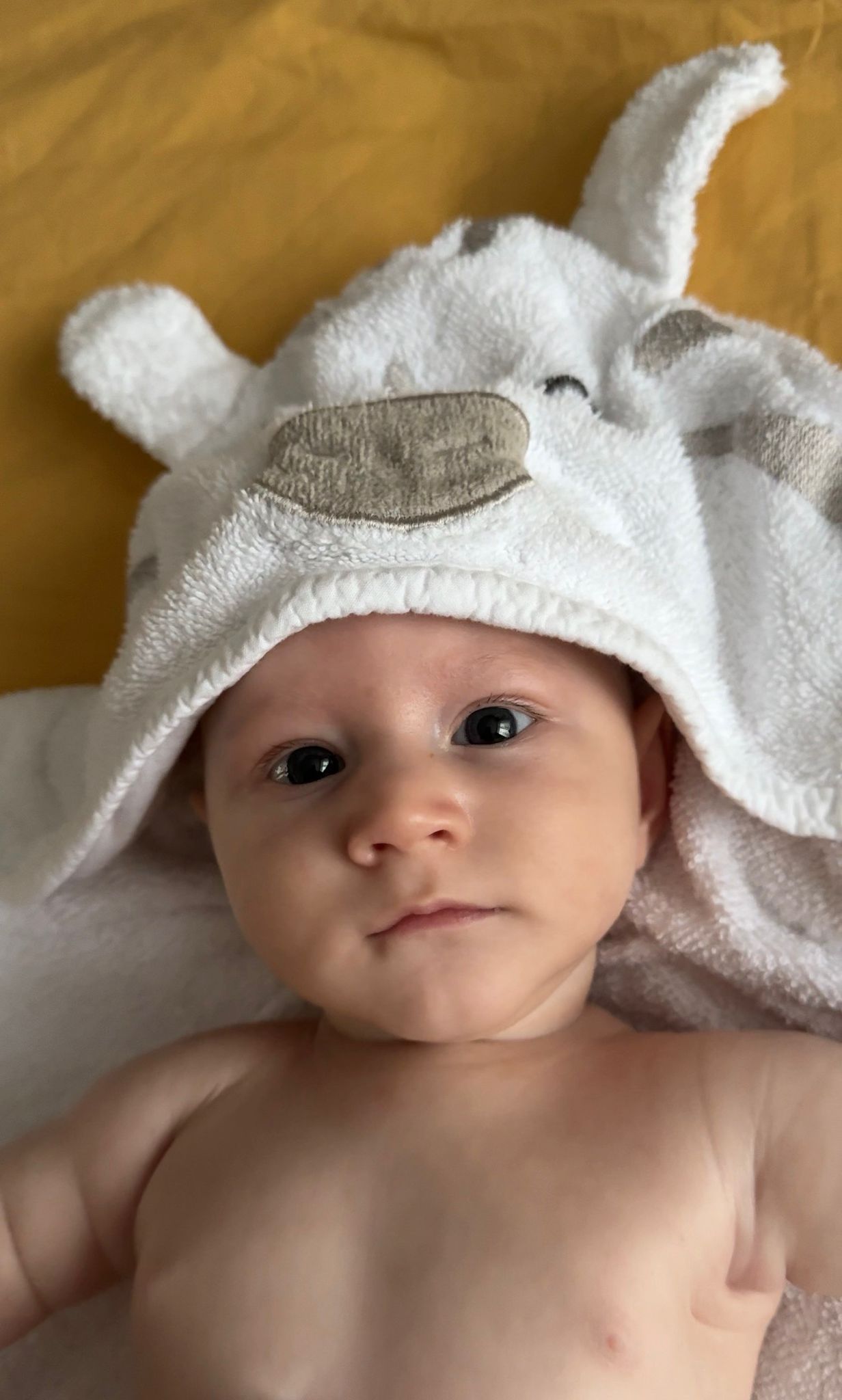 Elian Gabriel